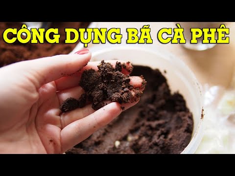 Công dụng bã cà phê tuyệt vời có thể bạn chưa biết - Mẹo Vặt Cuộc Sống