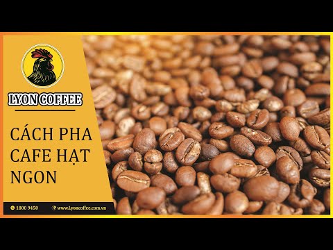 Cách pha cafe hạt nguyên chất