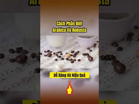 Cà phê Robusta & Arabica là gì? Cách phân biệt chúng dễ hiểu nhất!