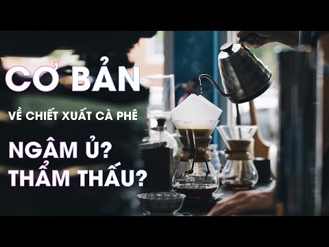 Cơ bản về chiết xuất cà phê: Ngâm ủ là gì? Thẩm thấu là gì? Mới chơi nên pha theo phương pháp nào?