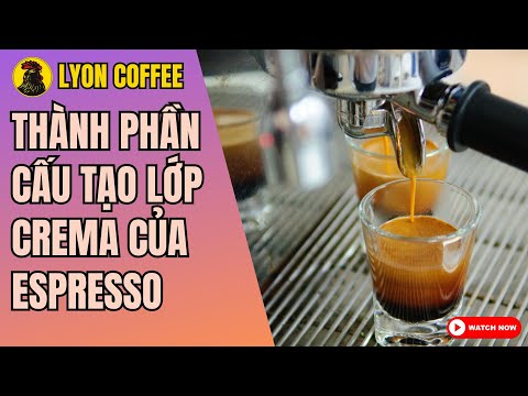 Thành phần cấu tạo lớp crema của espresso