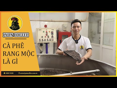 Cà phê rang mộc là gì | Cà phê hạt nguyên chất là gì