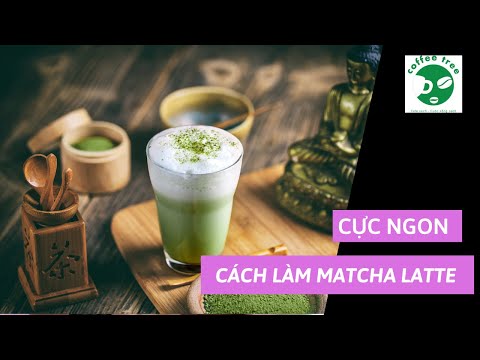 Hướng Dẫn Cách Làm Matcha Latte | Coffee Tree Official
